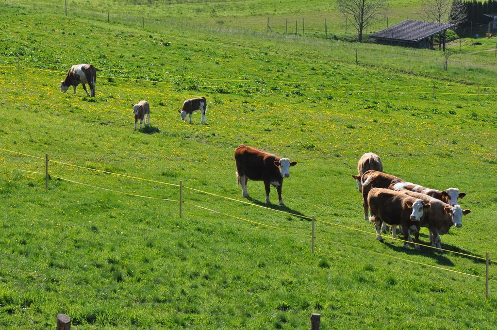 Szlovén Mintagazdaság Felsőszölnök Esterno foto